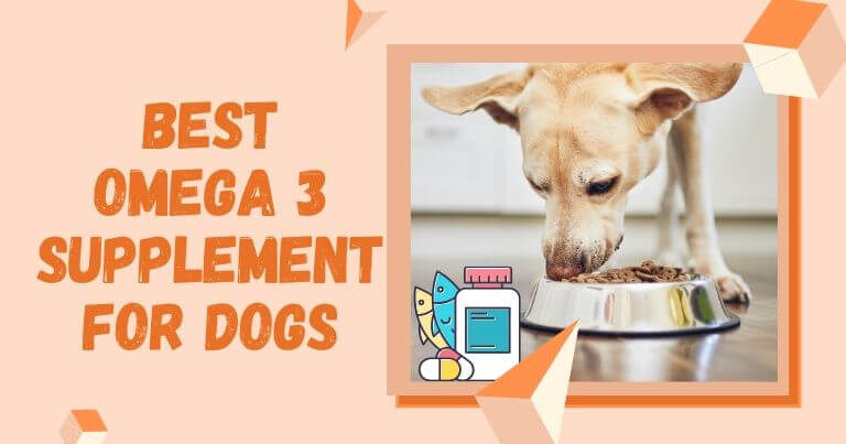 Best Omega 3 Supplement For Dogs