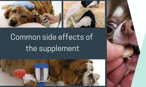 Common side effects of the supplement