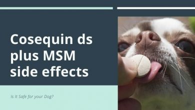 Cosequin ds plus MSM side effects