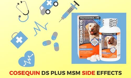 Side effects of dog supplements