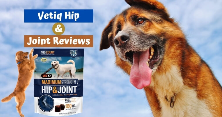 Vetiq Hip and Joint Reviews