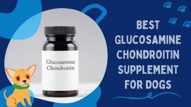Best Glucosamine Chondroitin Supplement for Dogs